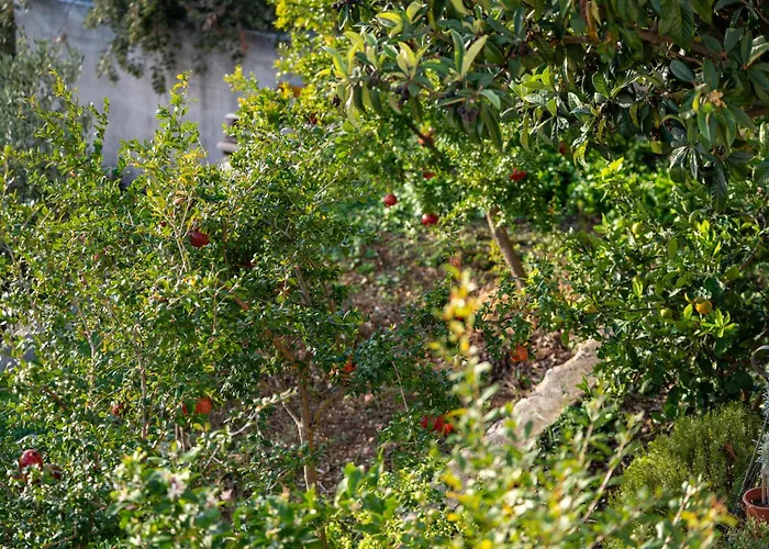 Lavanda Appartement Šibenik
